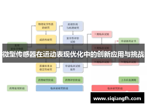 微型传感器在运动表现优化中的创新应用与挑战